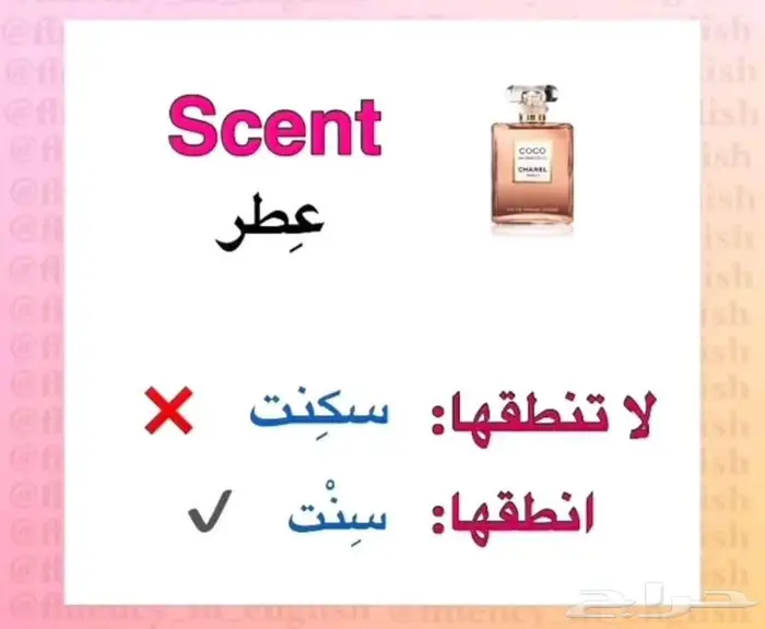 معلمة خصوصية  الأسعار ممتازة 1