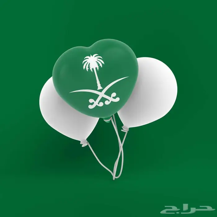عرض اليوم الوطني  فيديو موشن جرافيك احترافي ب95 ريال 1