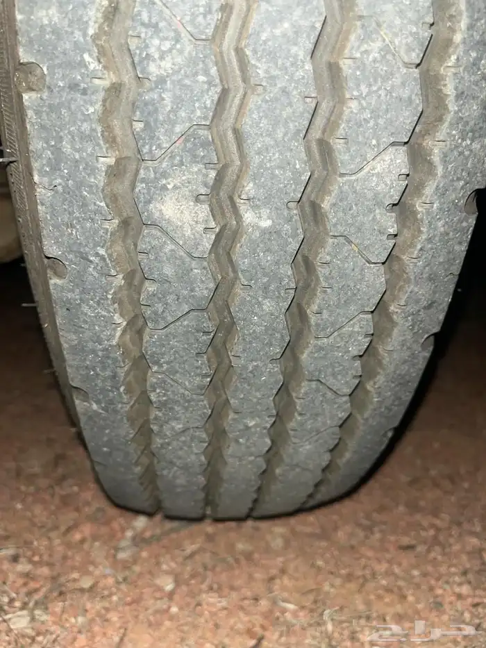 دينا 1984 نيسان 3