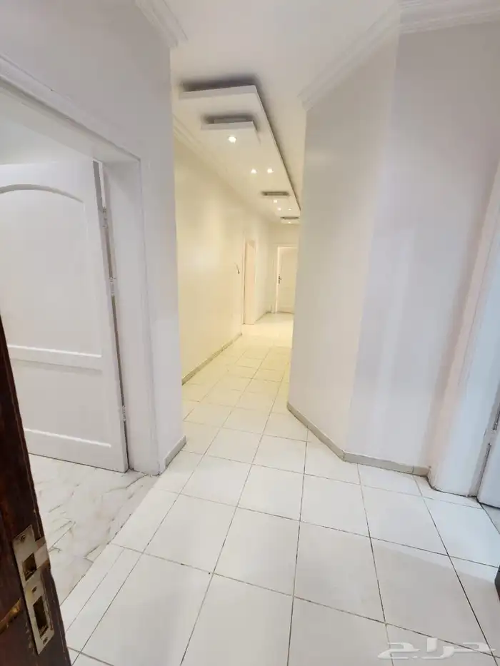 عماره للاجار 5
