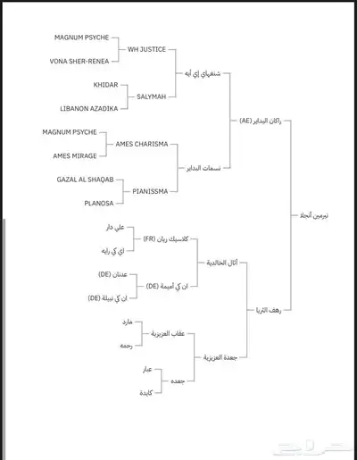 فرس واهو ركوب وفاخره index