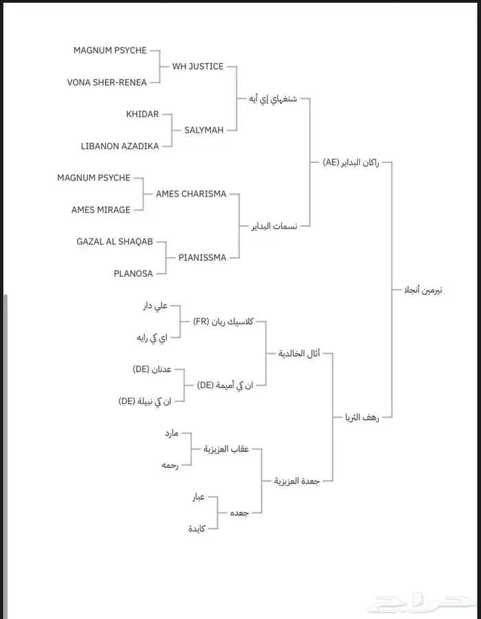 فرس واهو ركوب وفاخره 5