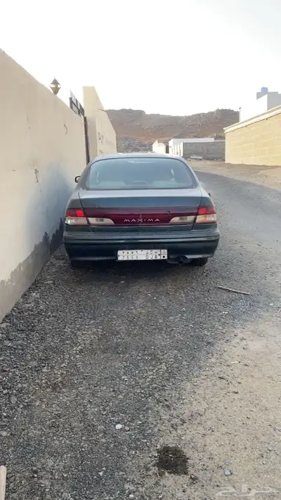 مكسيما 1999 index