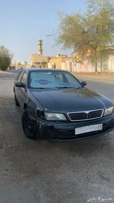 مكسيما 1999 index