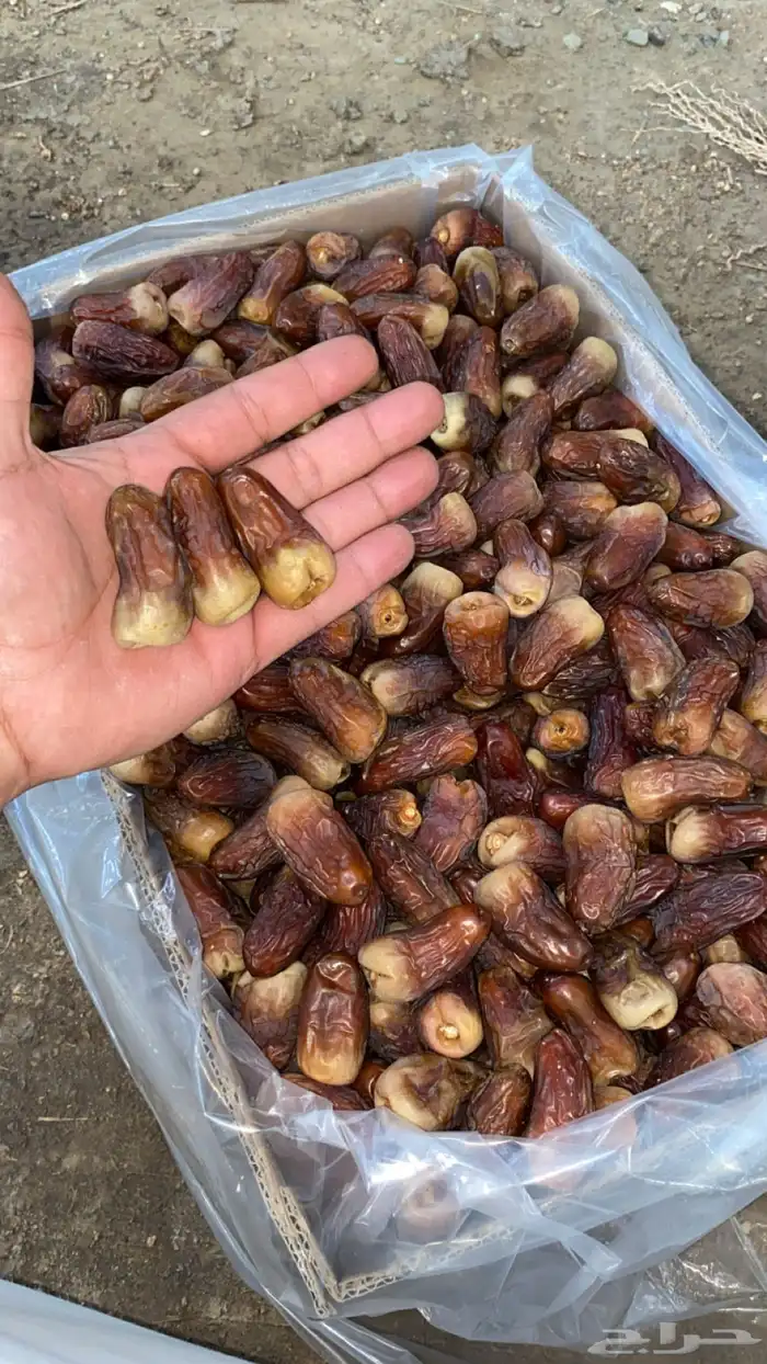 تمر فاخر كراتين 18 كيلو 12 كيلو التوصيل عبر شراكات التوصيل 0