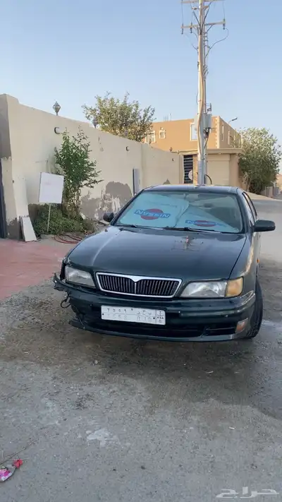مكسيما 1999 index