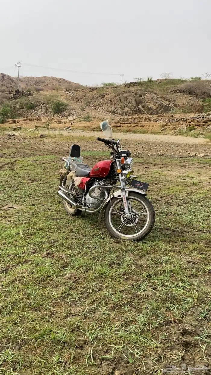 دباب سبورت 2025 2