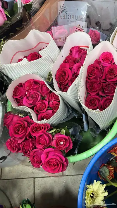 ورد طبيعي بالجمله وتوزيعات المناسبات index