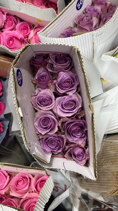 ورد طبيعي بالجمله وتوزيعات المناسبات index