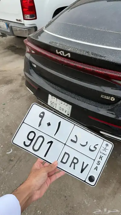 لوحة مميزة للبيع 901 0