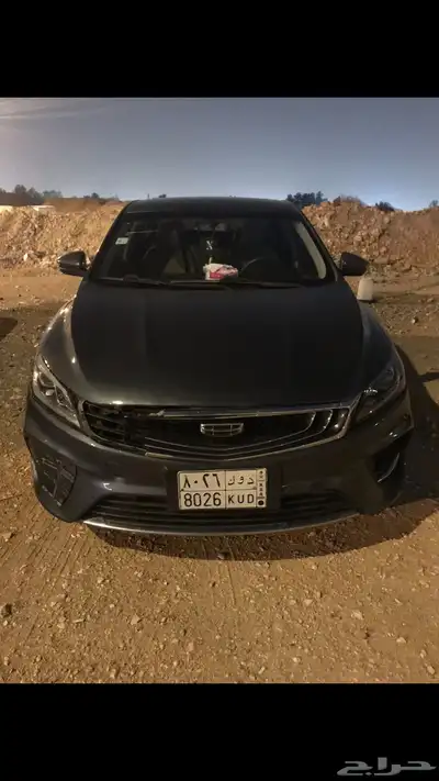جيلي بينراي 2020 0