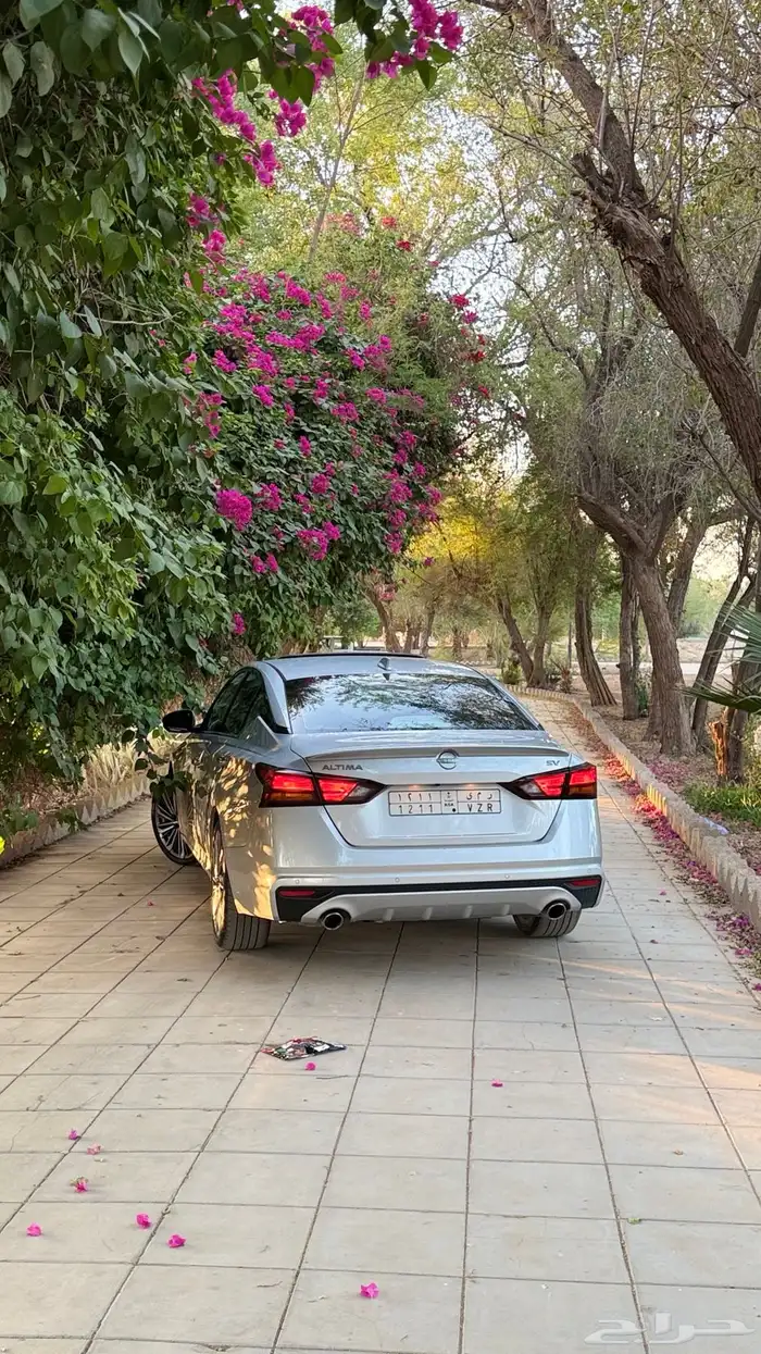 نيسان التيما 2024 SV 6