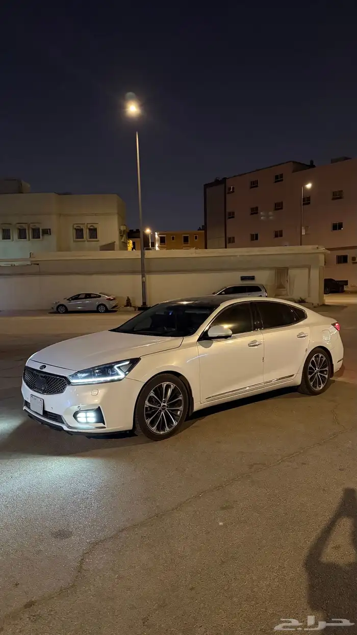 كادينزا فل كامل 2019 0