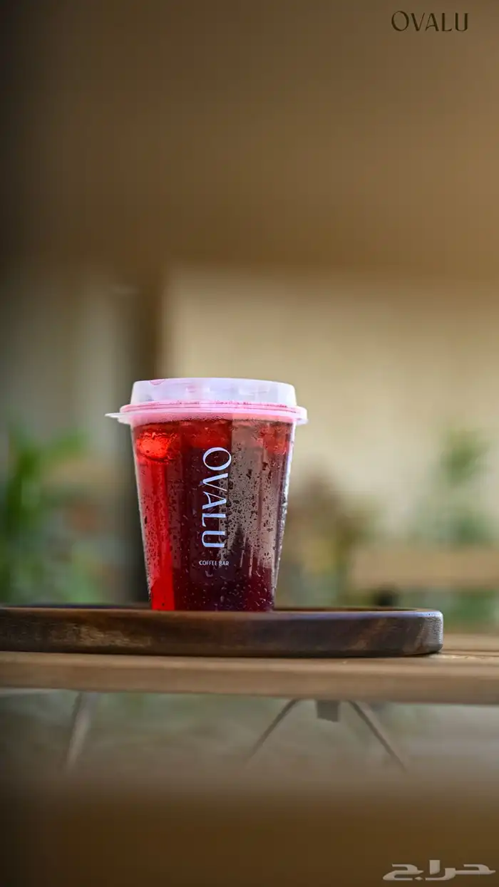 مصور فوتوغرافي 3