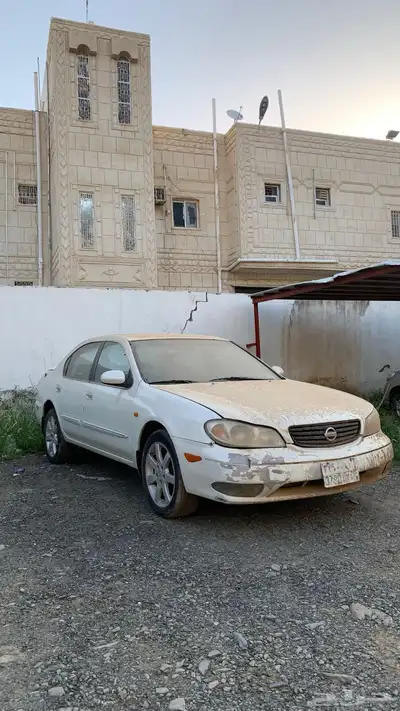 مكسيما index