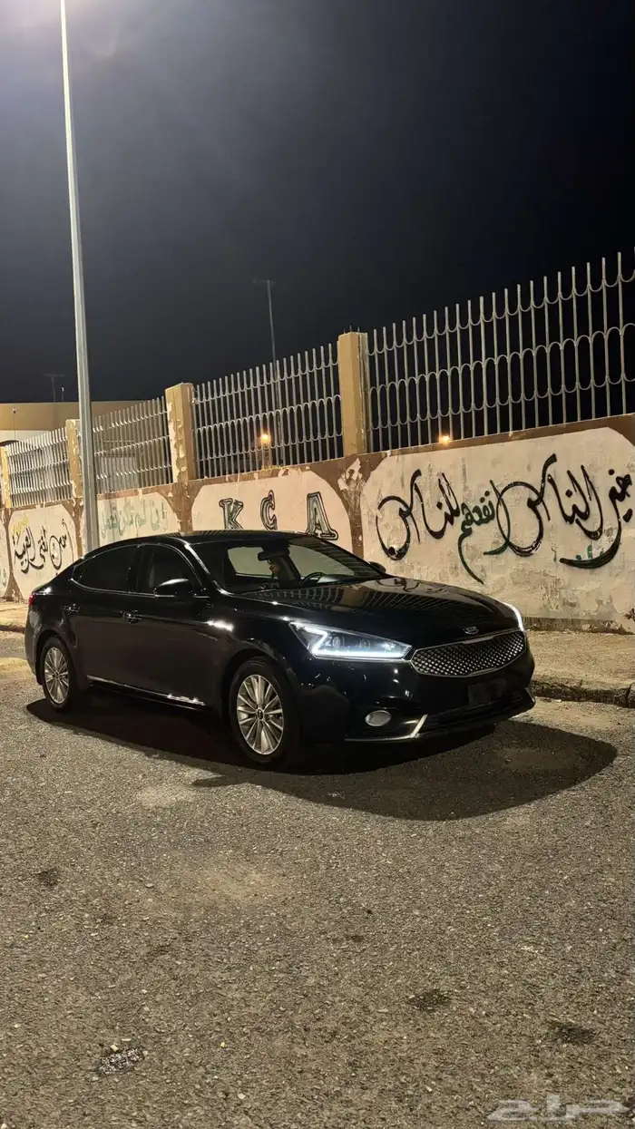 كادينزا 2018 بودي بلد 0