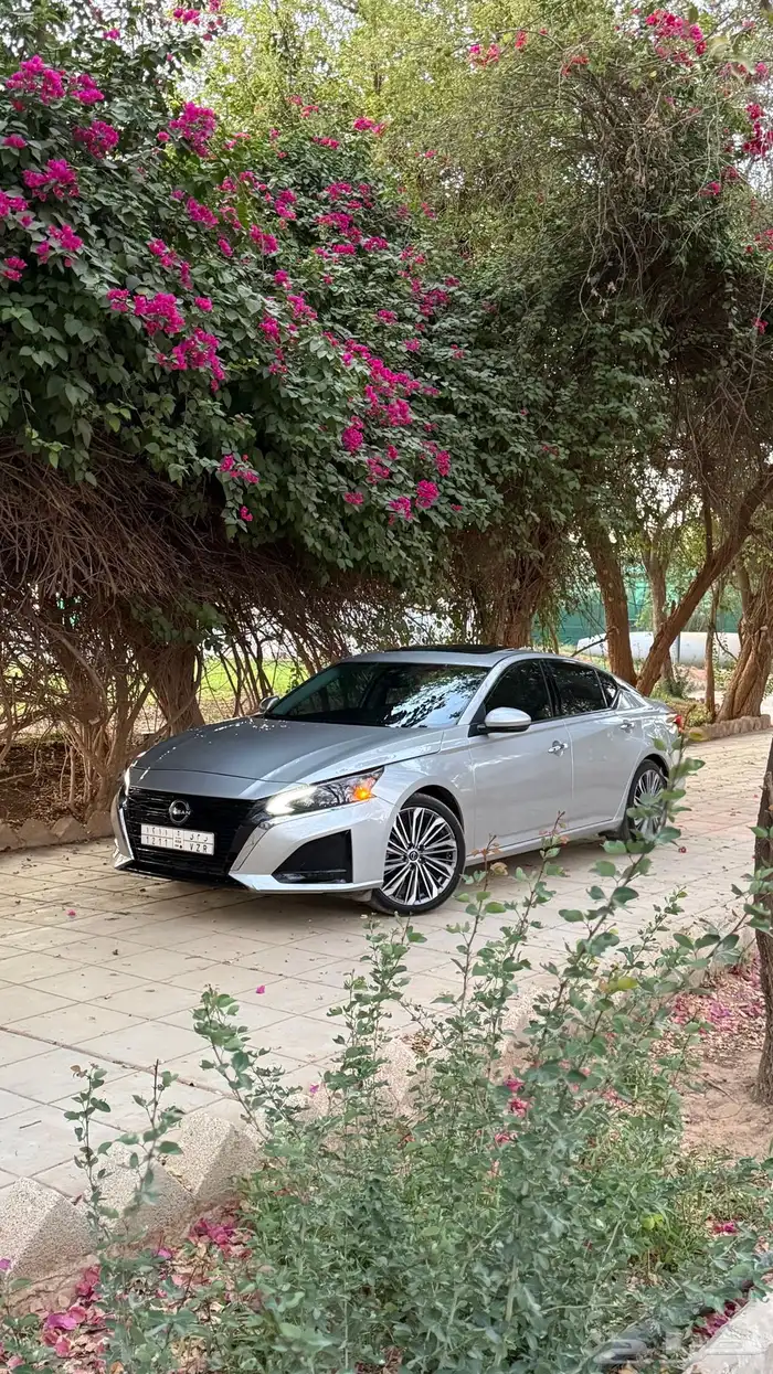 نيسان التيما 2024 SV 7