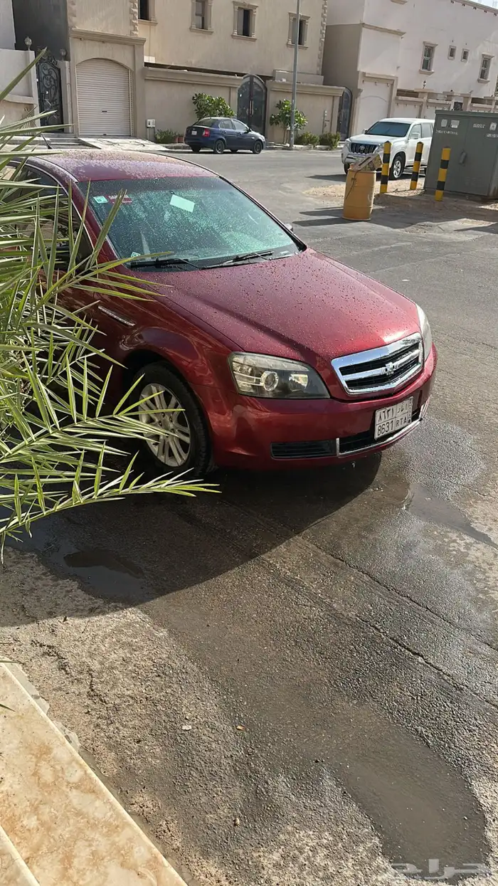 كابريس 2008 LS 12