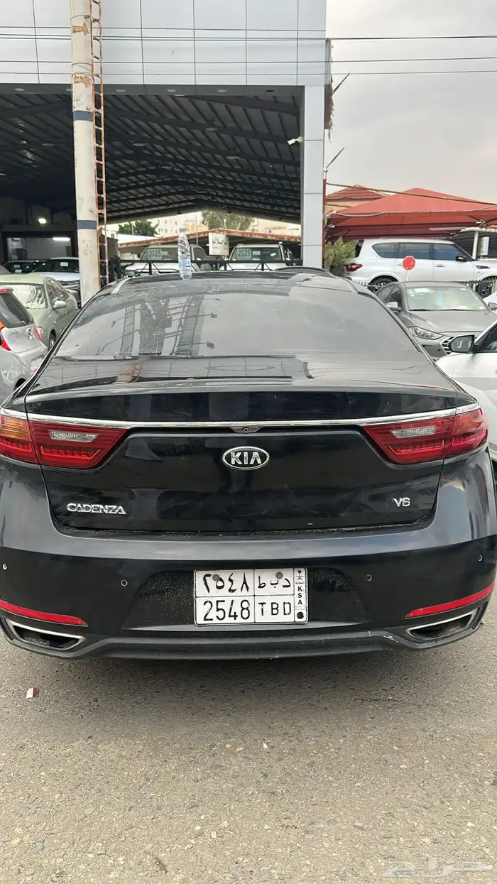 كادنزا 2018 1
