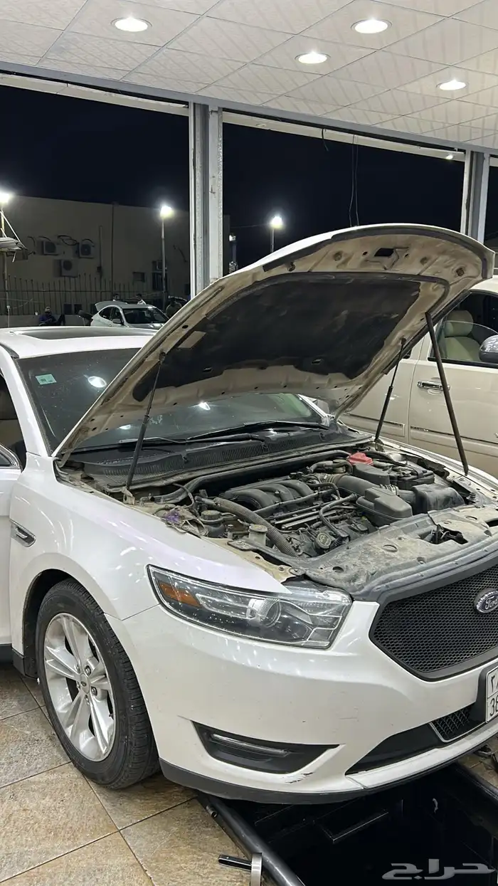 تورس 2015 7