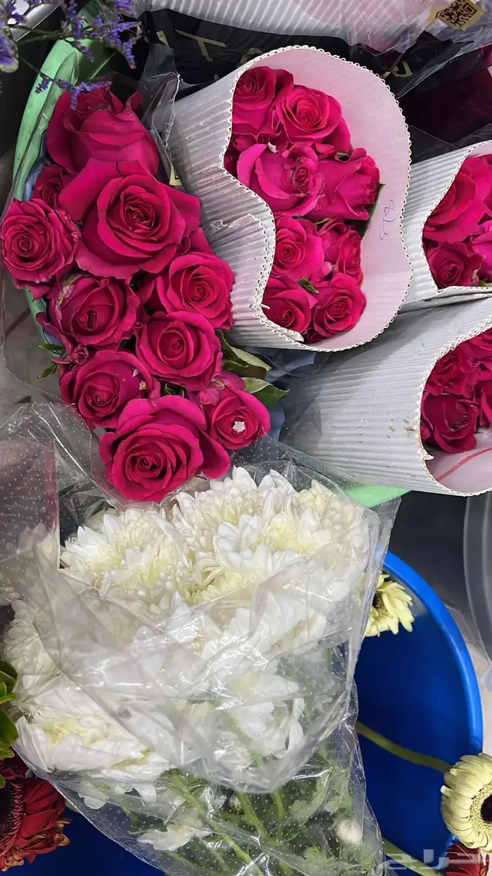 ورد طبيعي بالجمله وتوزيعات المناسبات 11