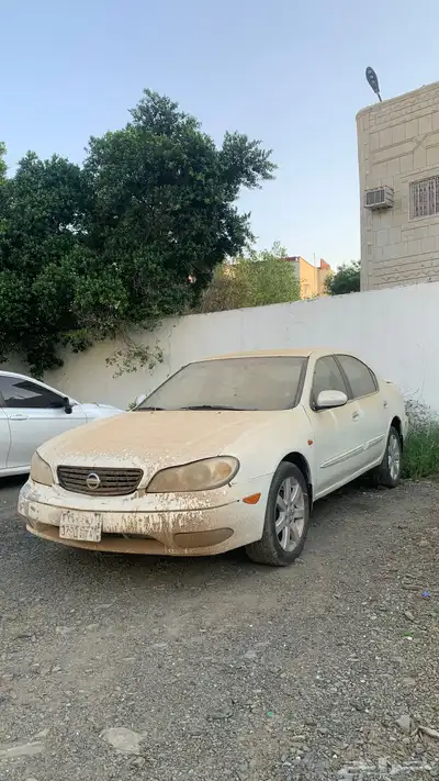 مكسيما index