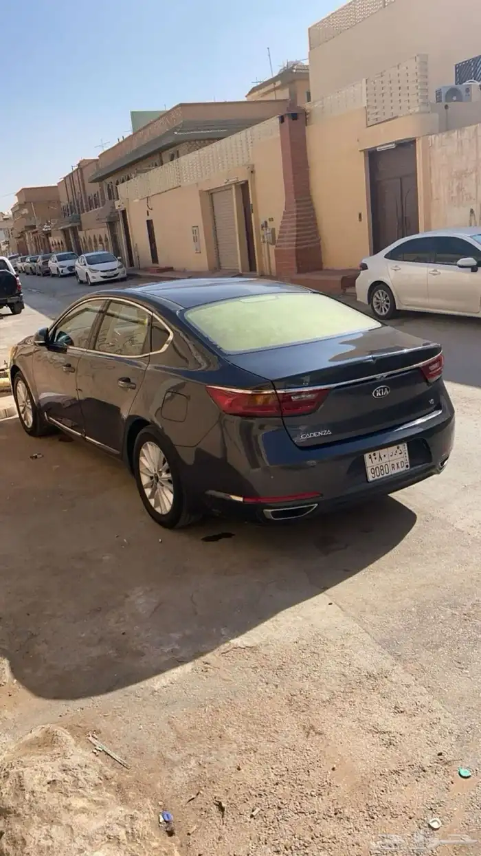 كادنزا 2018 2