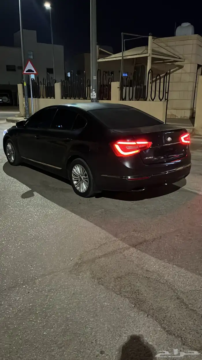 كادينزا 2014 2