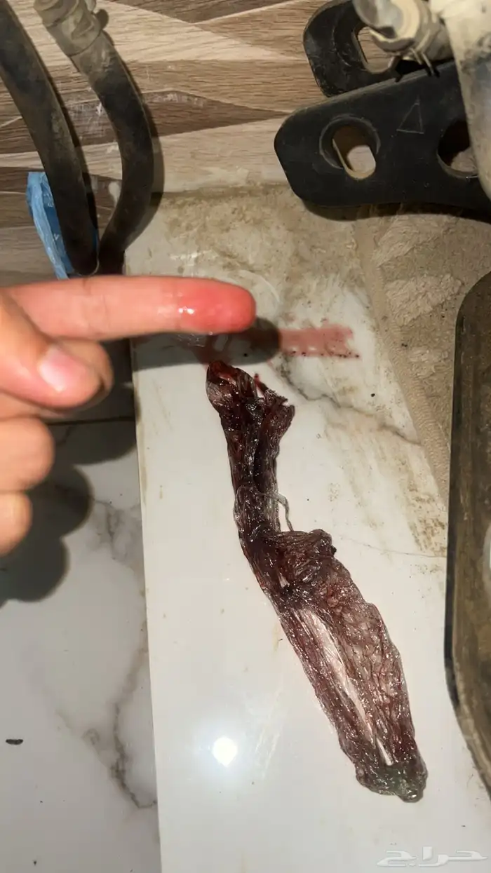 جازان 5