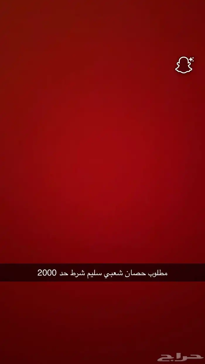 حصان 0