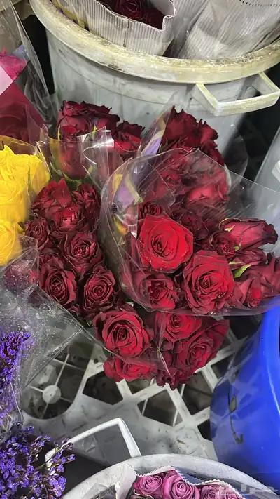 ورد طبيعي بالجمله وتوزيعات المناسبات index