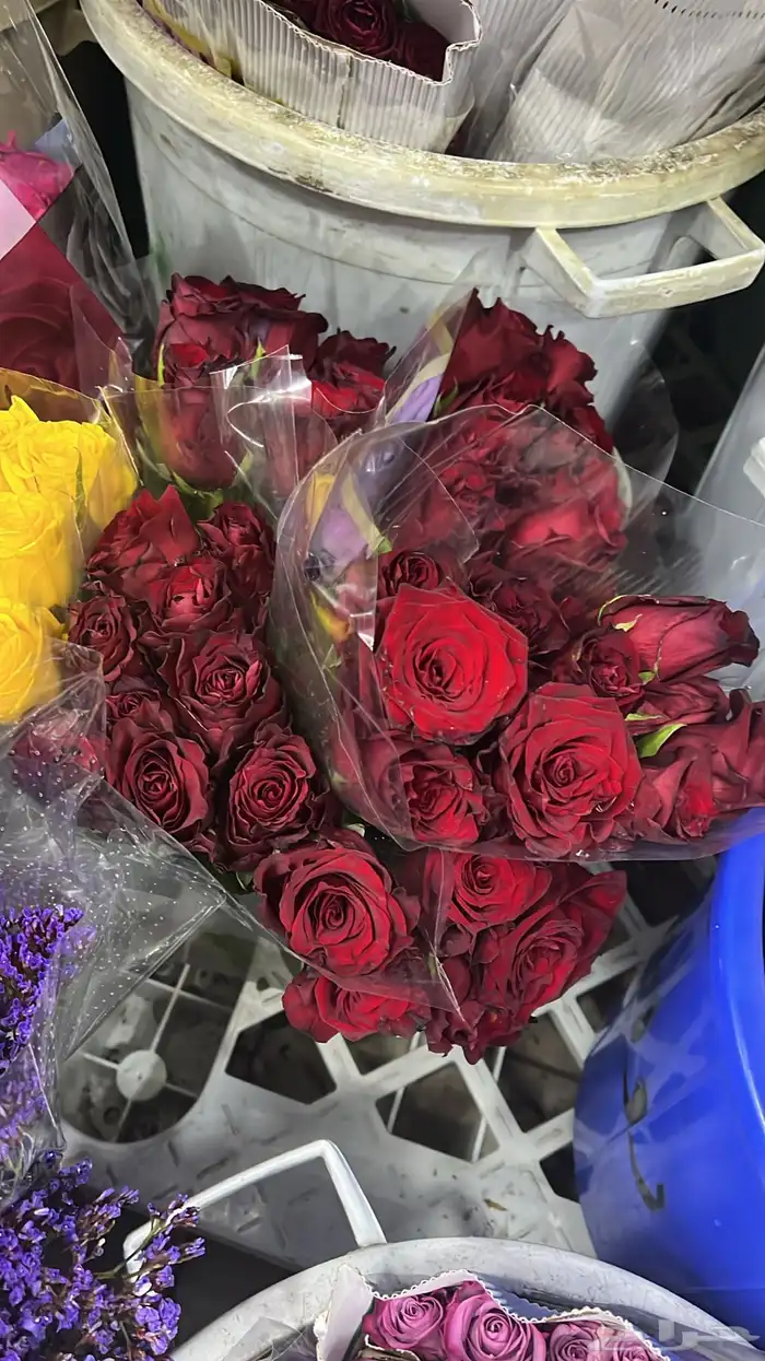 ورد طبيعي بالجمله وتوزيعات المناسبات 5