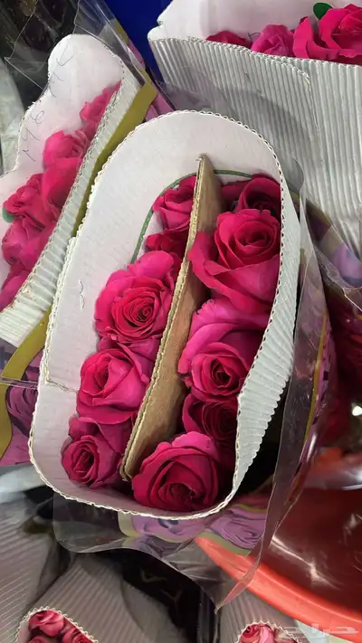 ورد طبيعي بالجمله وتوزيعات المناسبات index