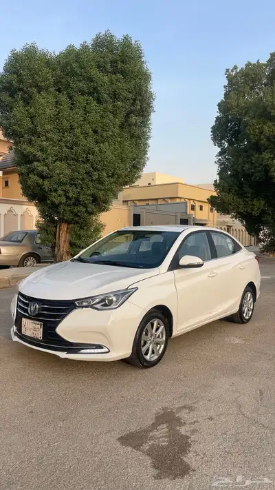 شانجان السفن 2022 index