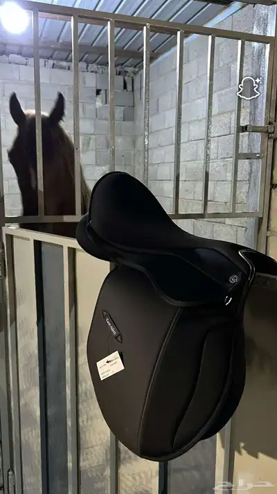 سروج Euro-riders جديدة 0