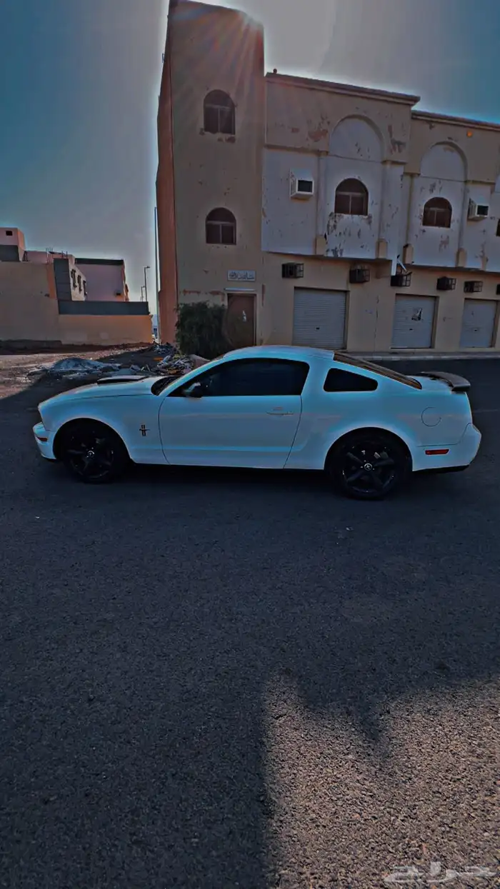 موستنج 2007 للبيع 12