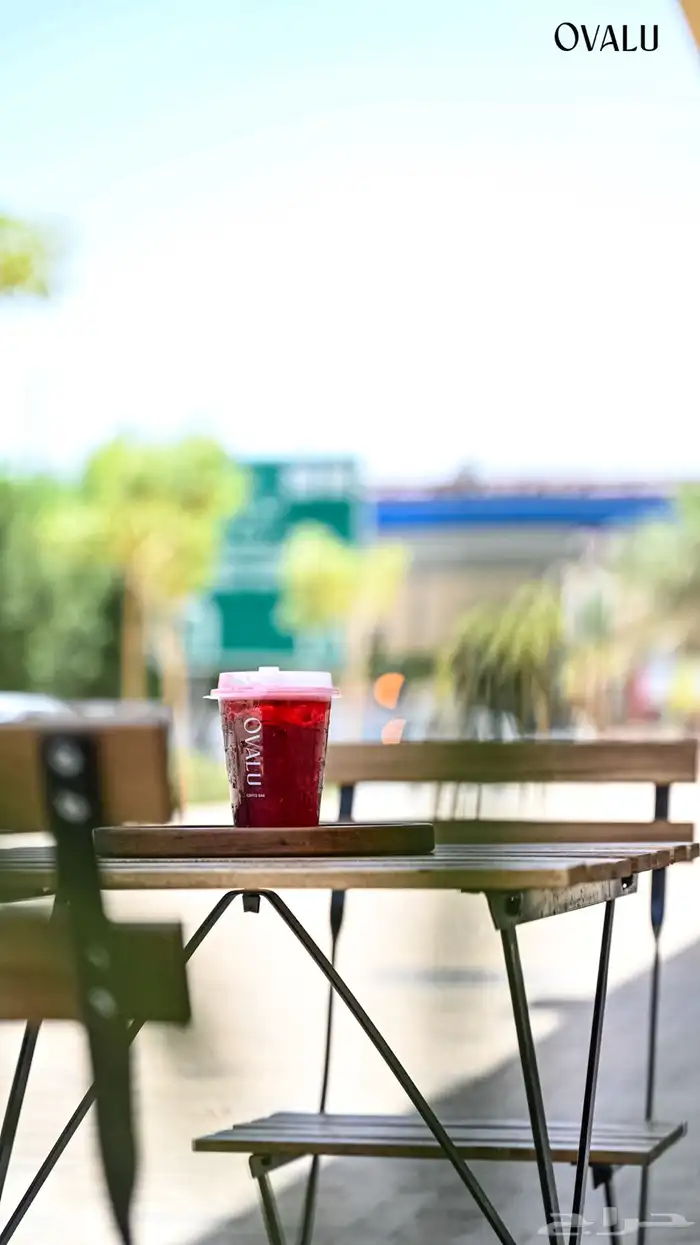 مصور فوتوغرافي 4