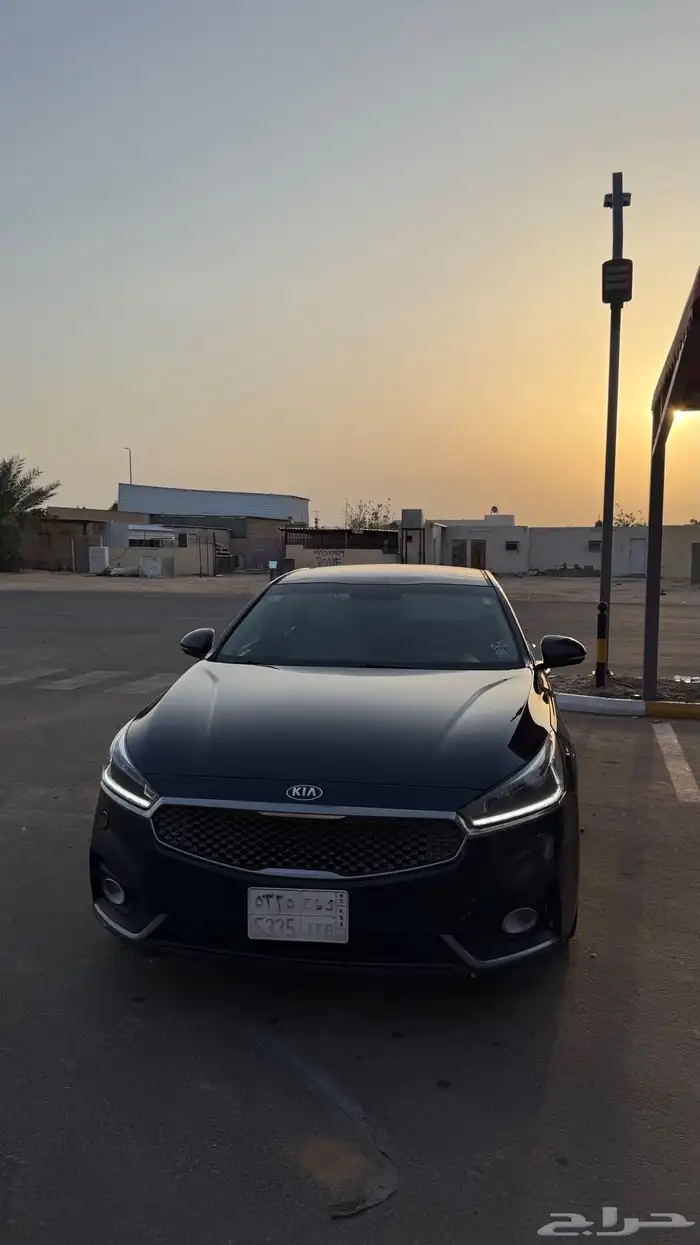 كادينزا 2018 6