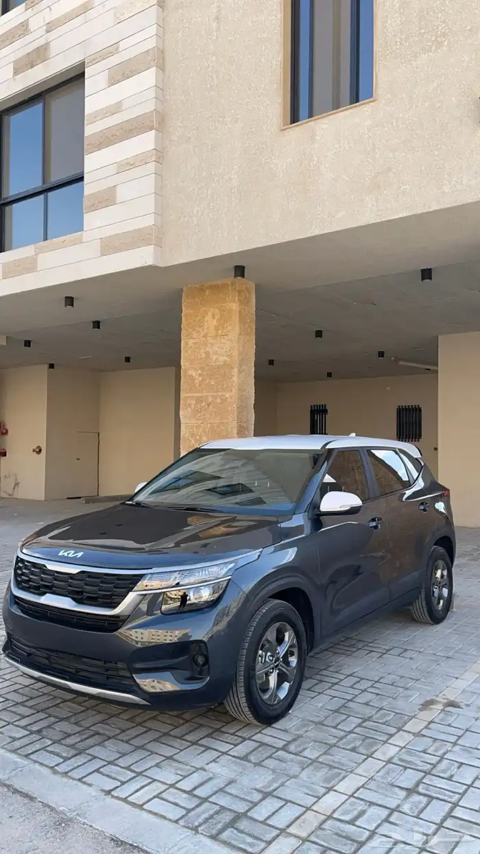 سيلوتس 2023 6