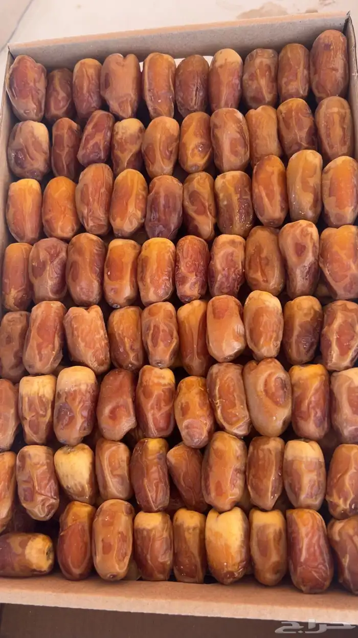 صقعي رطب 0