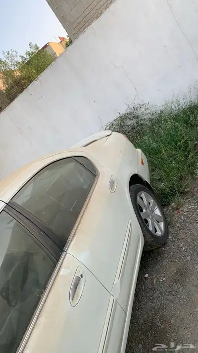 مكسيما index