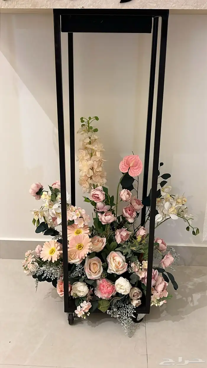 عربية ملكه عربية شبكه 1