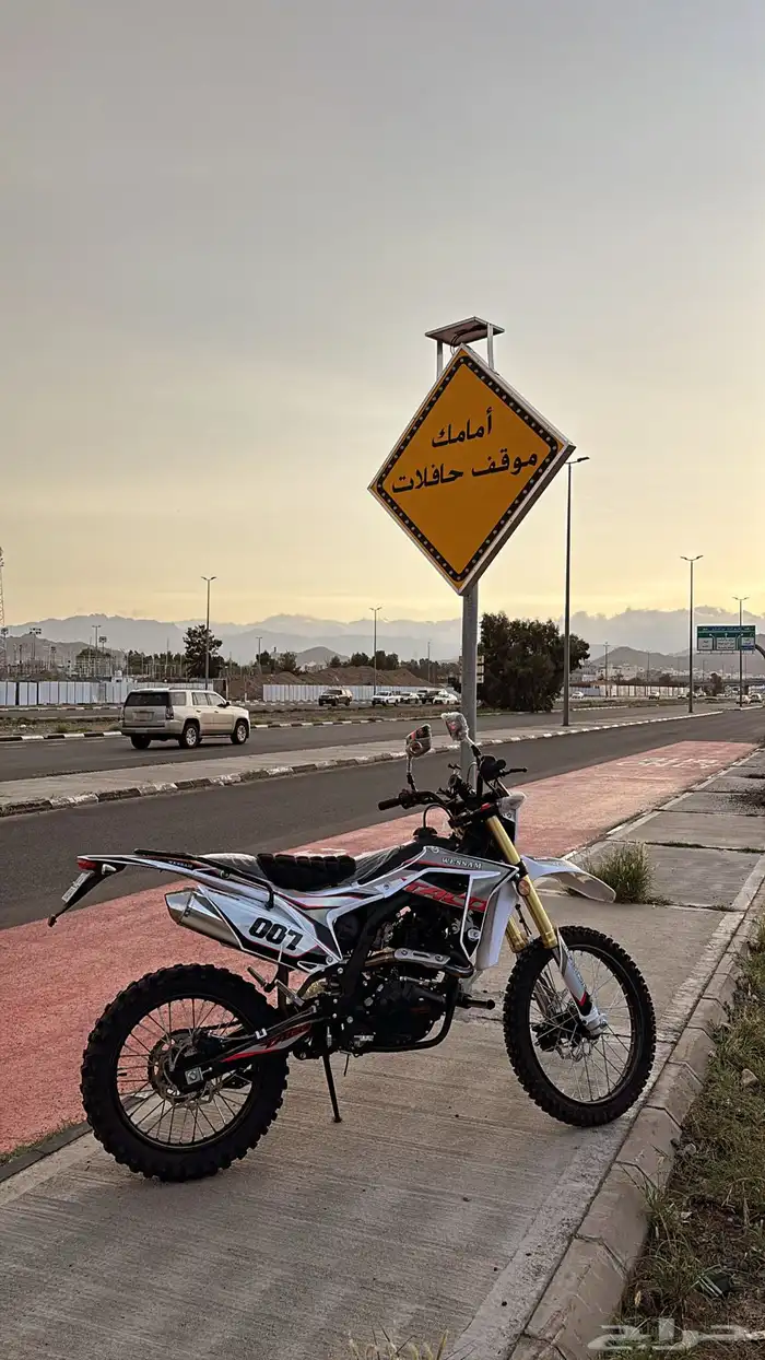 دباب الوسام الناري صحراوي 1
