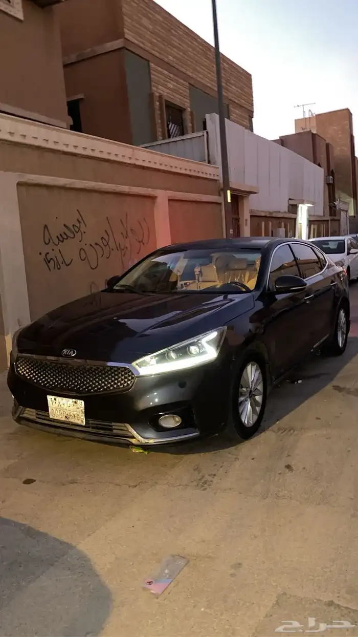 كادنزا 2018 3