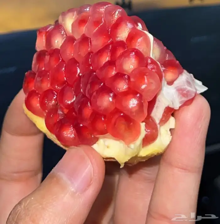 رمان طائفي من مزرعتي الخاصة في ( أبها ) 0