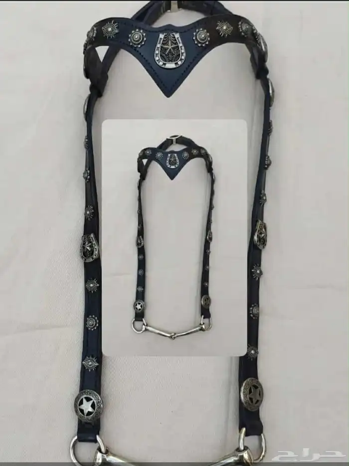 جده 2