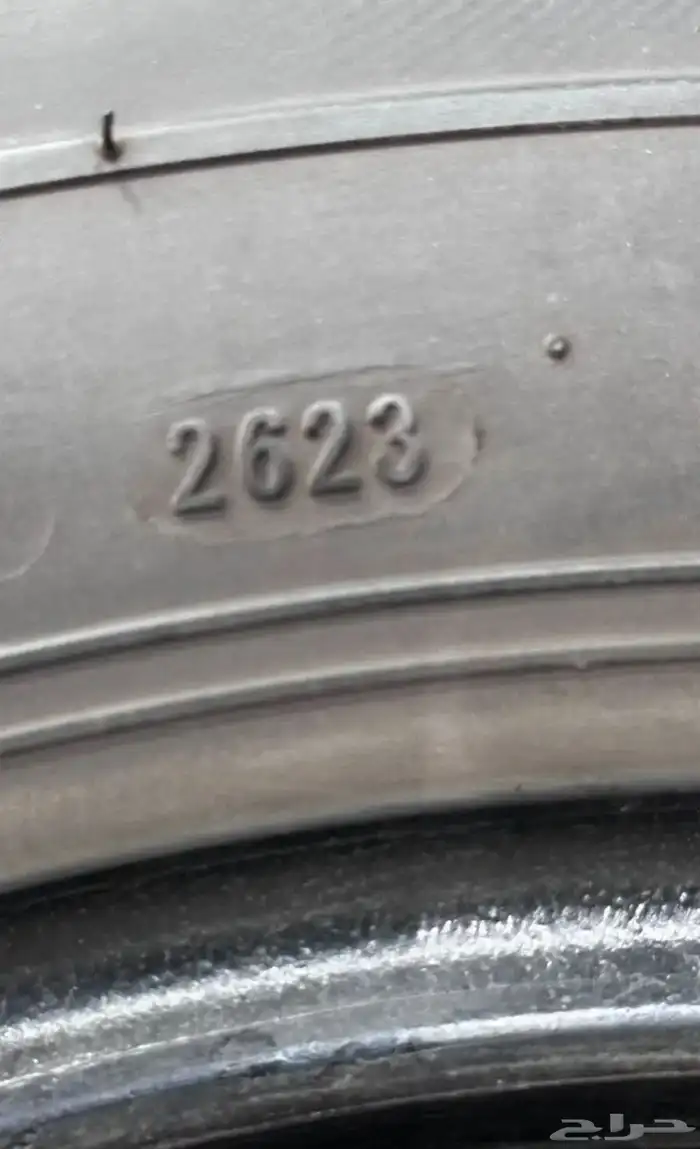 شواهين 17 2