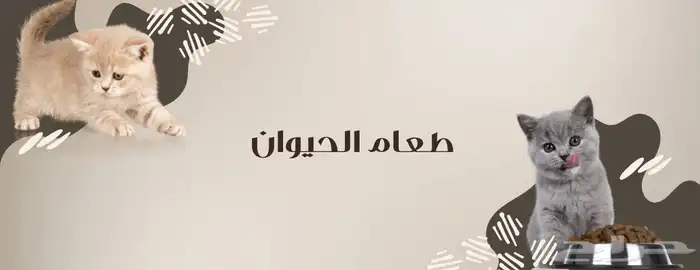 تصميم متاجر الكترونية 4