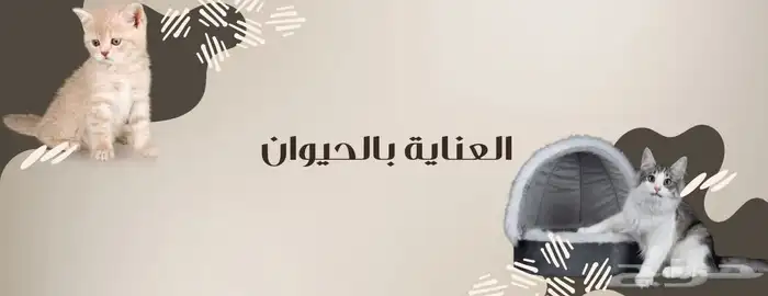 تصميم متاجر الكترونية 3