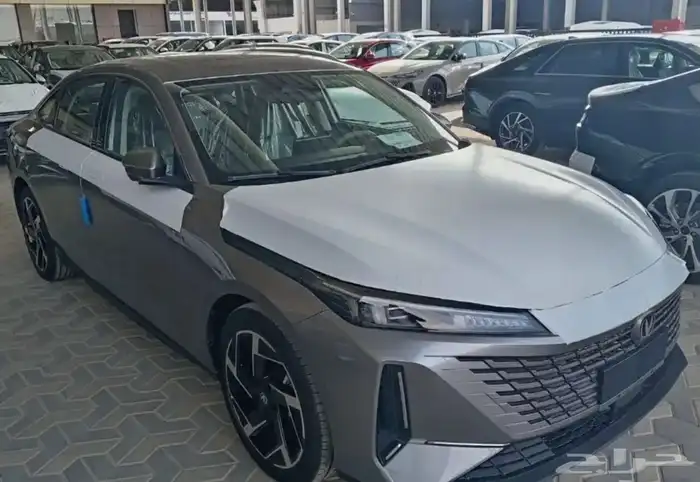 شانجان بلس ايدو ليميتد 2026 0